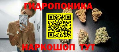 гашиш Тара