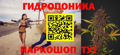 гашиш Тара